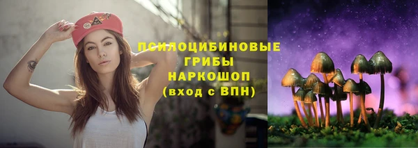 соль ск Навашино