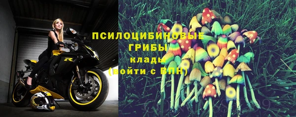 стафф Нефтекумск