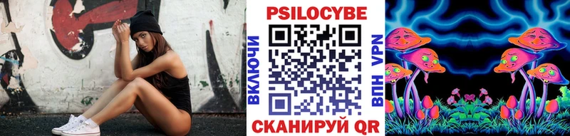 Галлюциногенные грибы Psilocybe  Цоци-Юрт 